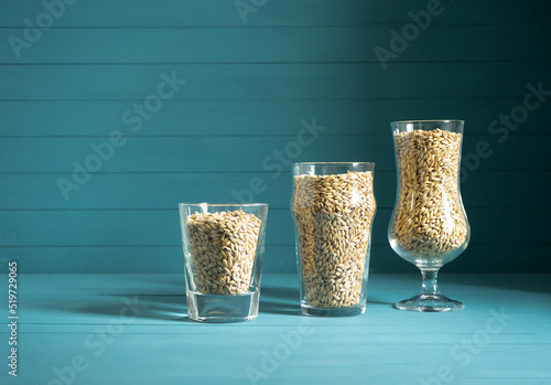 beer glasses with barley malt  on black background. Craft beer brewing from grain barley pale malt. Homemade ale or lager from pilsner malt.