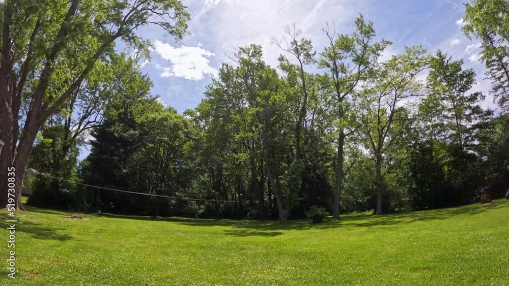 Time lapse in garden on sunny day with clouds blocking the sun and creating shadows Time lapse in garden on sunny day with clouds blocking the sun and creating shadows