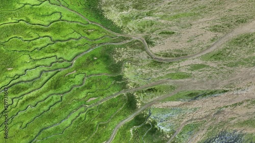 Aerial view of green river delta unique patterns, Slikken van Voorne photo