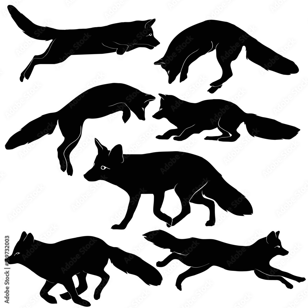 fox and wolf movements vector shihouette collection
