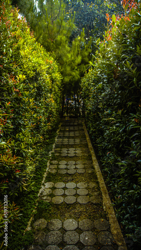 green space in park and garden