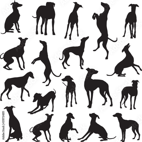 grey hound dog silhouettes