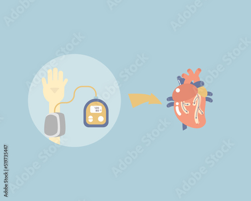 measuring blood pressure and heart anatomy, health care, medical examination, hypotension and hypertension concept, flat character design clip art vector illustration