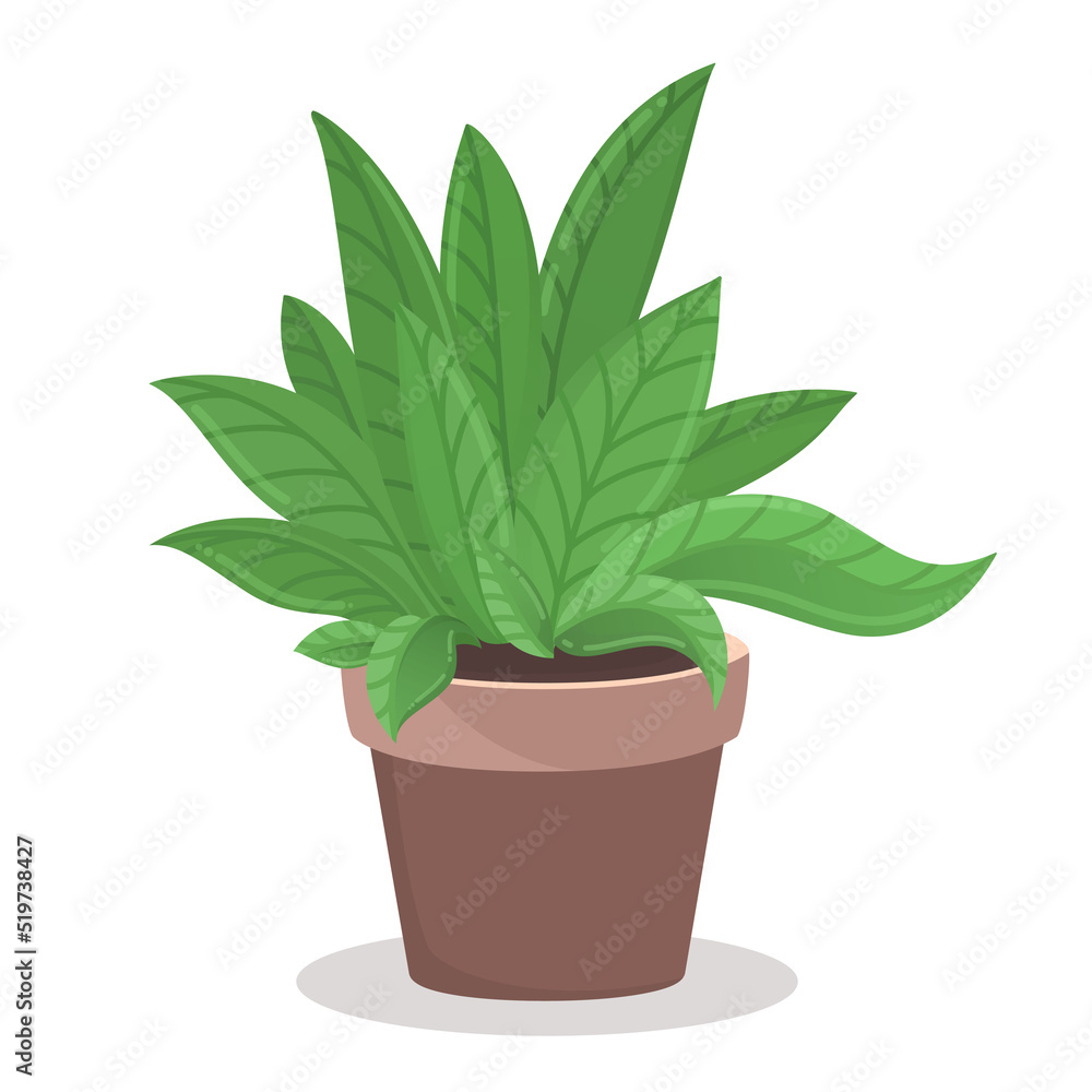illustration of a pot with a plant. House plant, part of the interior, Decor for office, study, bedroom, living room illustration of a pot with a plant. House plant, part of the interior, Decor for office, study, bedroom, living room