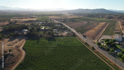 Temecula, California wine country with rows of grape vines in the vineyard in a picturesque valley - aerial view photo
