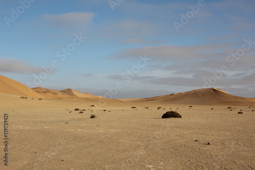 Sand dunes in the Namib Desert, Namibia, Southern Africa. © SJM 51