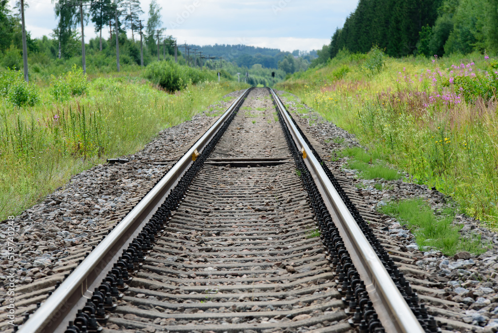 beautiful railroad tracks leading into the distance with green grass and trees along the sides