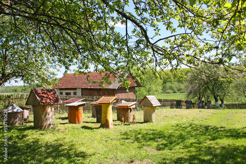Wooden hives for bees in Park of Naguevychy - Ukrainian skansen of creations on the territory of the native city of Frankiv, Ukraine photo