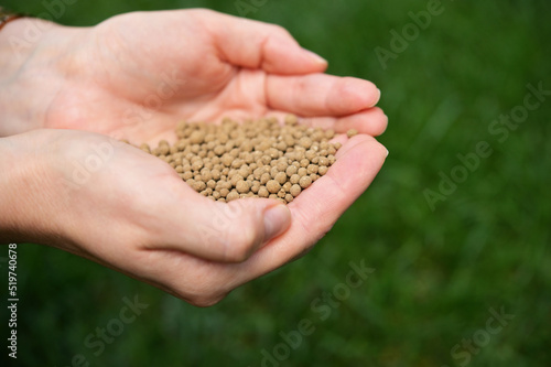 Farmer Hands Spreading Organic Universal Fertilizer