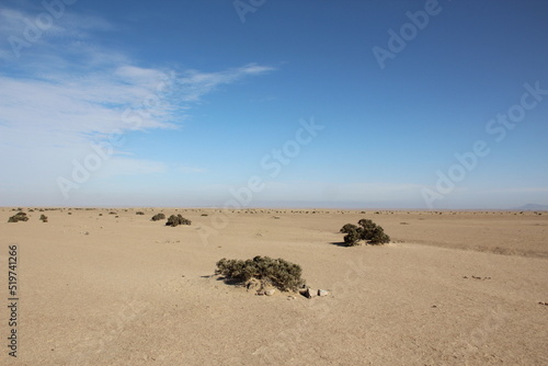 Namib Desert, Namibia, Southern Africa.