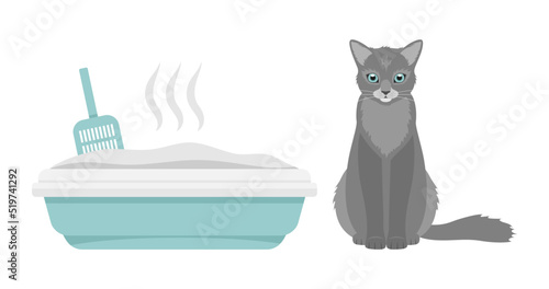 A gray cat siting next to a blue cat litter box with a blue spatula. Flat vector illustration