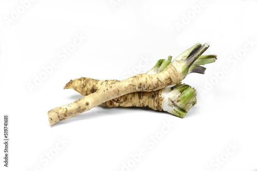 Fototapeta Horseradish roots isolated on white background