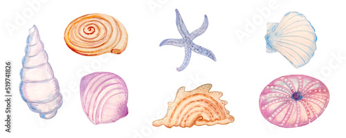 Watercolor set of sammer shells and starfish