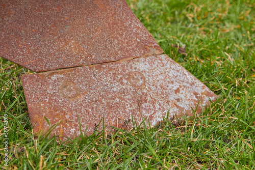 Canvas-taulu the ploughshare is rusty,close-up of an old rusty plow on the grass, a plow for
