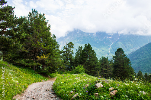 Panoramic landscape with a walking path on an alpine meadow with green grass among the high slopes of the Caucasus mountains on a clear sunny summer day in Kabardino-Balkaria Russia