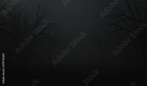 black wood and ghost girl in a horror dark night forest background. the macabre scene background. 3d illustration © boommaval
