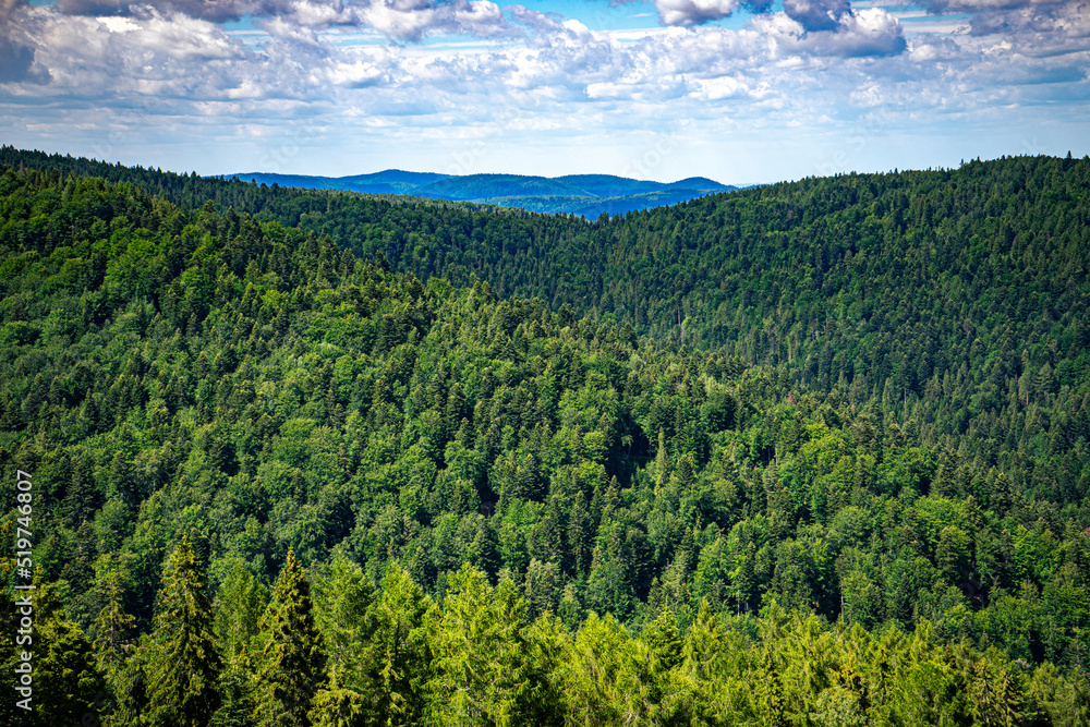 A picturesque view from the trail of Jaworzyna Krynicka in the Low Beskids Mountains. Various shades of green of the trees against the blue overcast sky.