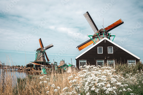 Windmills in Zaanse Schans Outdoor museum, Netherlands photo