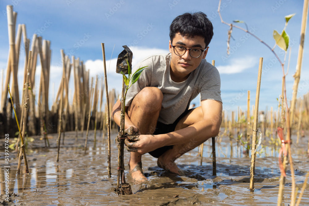 Φωτογραφία Asian teenage boy volunteer to reforest mangrove forest rehabilitation sitting among cud soil and planting you tree