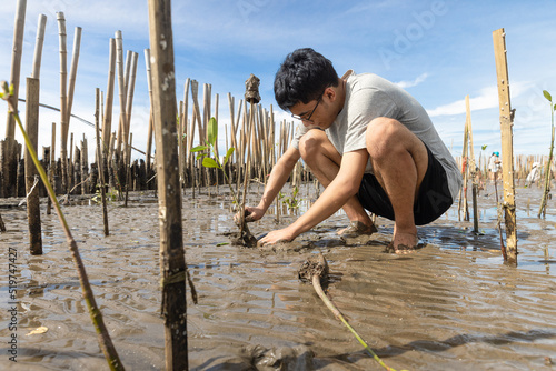 Asian teenage boy volunteer to reforest mangrove forest rehabilitation sitting among cud soil and planting you tree.