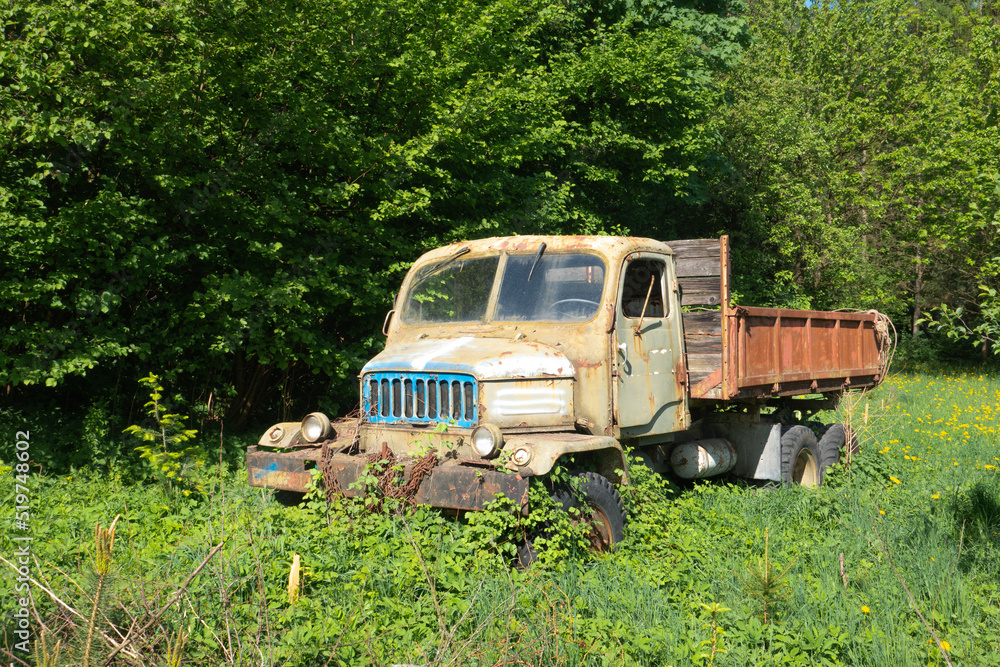 Abandoned old truck in the wild