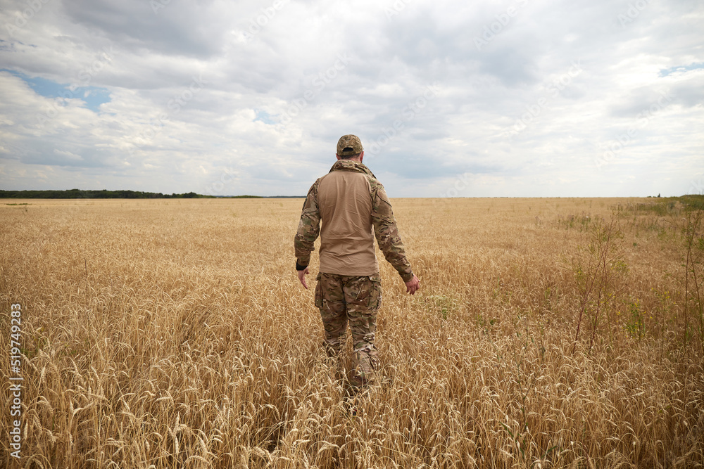 Ukrainian military man in wheat field. Ukrainian wheat fields and war upcoming food crisis. Armed Forces of Ukraine Ukrainian military man in wheat field. Ukrainian wheat fields and war upcoming food crisis. Armed Forces of Ukraine