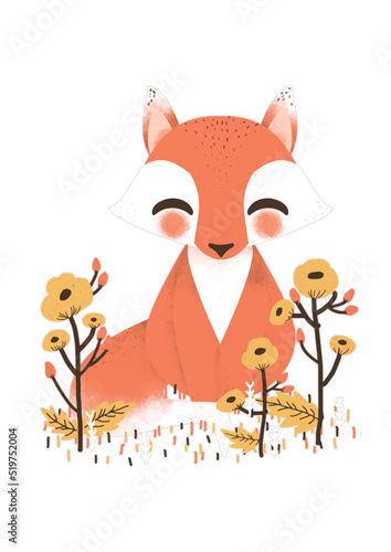 Animaux mignons - le renard