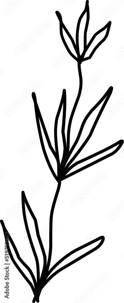 Foliage Illustration, Leaves, Leaf Illustration. Hand-drawn doodles illustration.
Line art Foliage Illustration, Leaves, Leaf Illustration. Hand-drawn doodles illustration.
Line art
