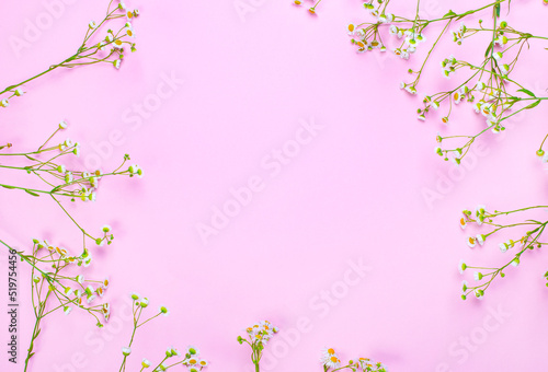 White pharmacy daisies with stems on a light pink background with space to insert text. Copy space