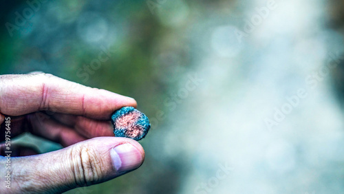 hand holding a meteorite