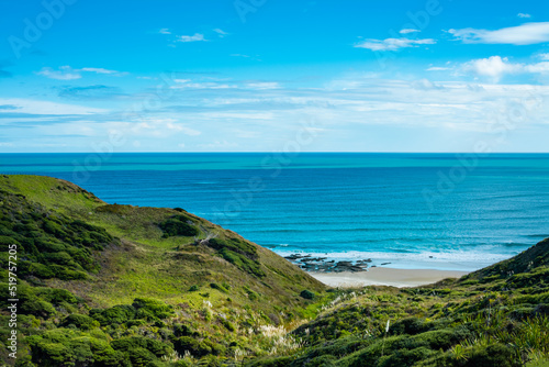 Looking across lush green of seaside hills and a narrow sand beach below. South Head facing Tasman Sea, Hokianga, Northland, New Zealand