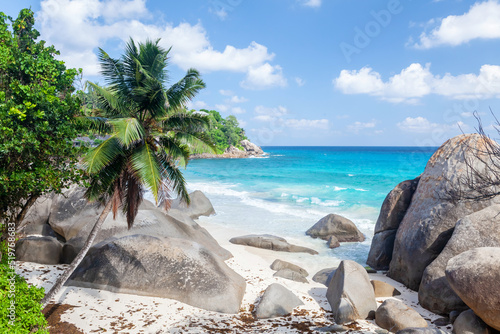 Tropical beach with palm trees © karandaev