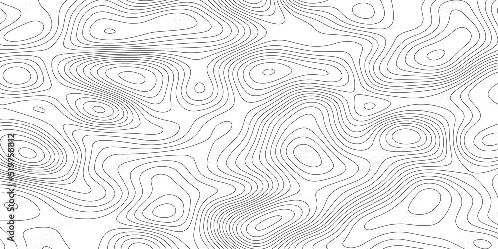 Abstract design with black and white abstract background . Topography map concept. 3d rendering . Creative and similar design with white and black tone paper cut wave curve with blank space design .