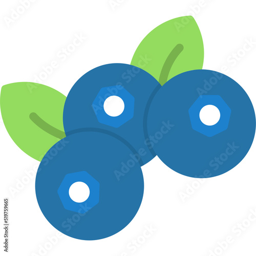 Blueberry Icon