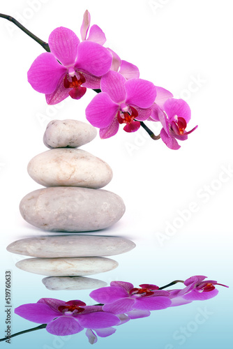 Pink orchid flowers and spa stone reflected in the water.