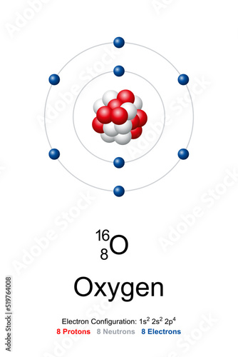 Oxygen, atom model. Chemical element with symbol O and with atomic number 8. Bohr model of oxygen-16, with an atomic nucleus of 8 protons and 8 neutrons, and with 8 electrons in the atomic shell.