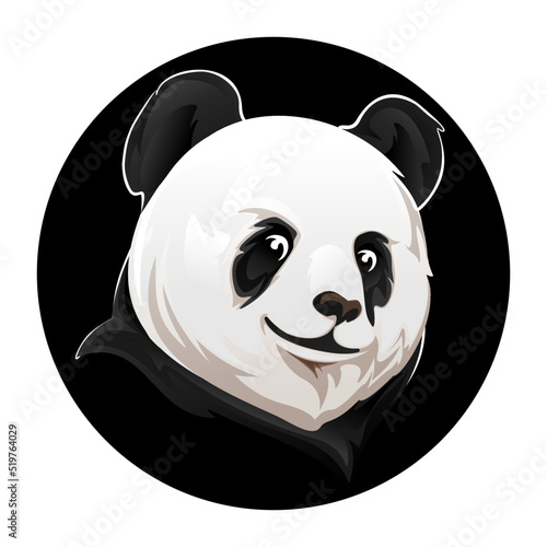 panda bear illustration