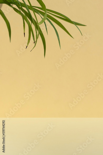 Minimal abstract scene for the presentation of a cosmetic product. Premium podium with tropical palm leaves on a beige background. Showcase  display case.