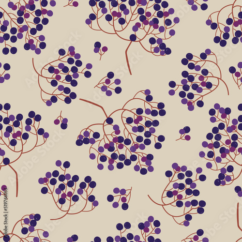Vector seamless pattern of elderberries. Illustration for background, print, textile...