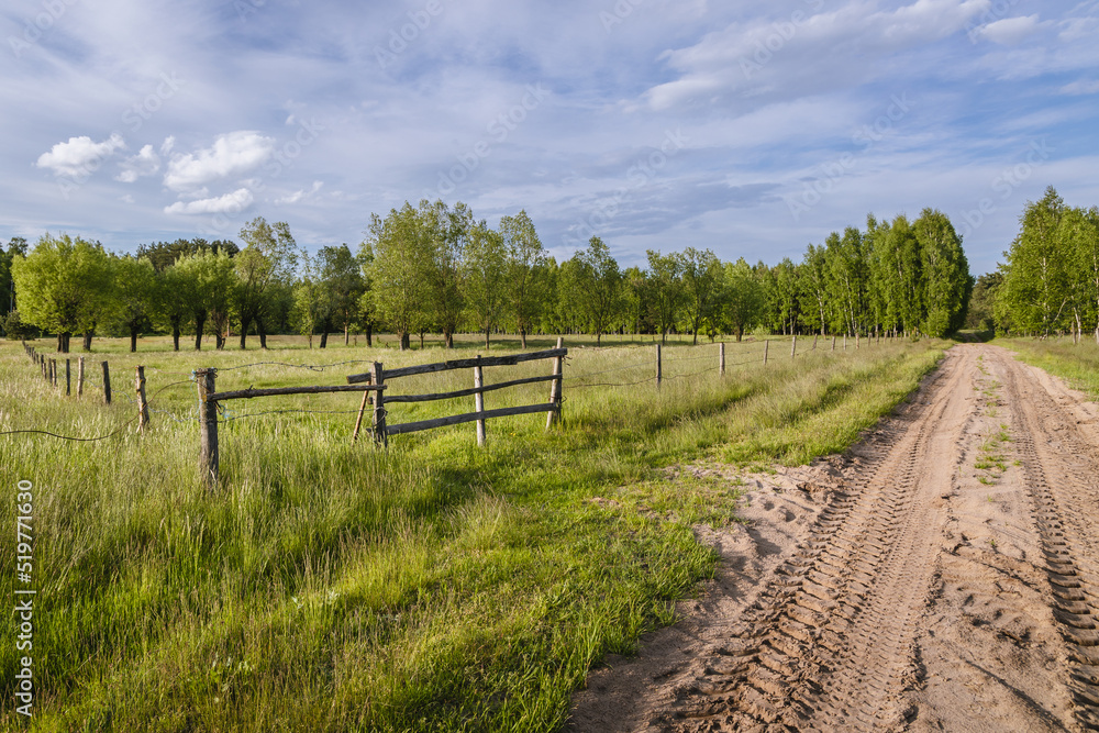 Meadow with wooden gateway in Wegrow County, Mazowsze region, Poland