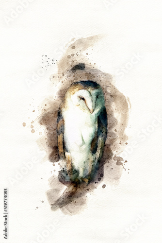 Barn owl perched on a branch in an old barn. Digital watercolour painting on white.