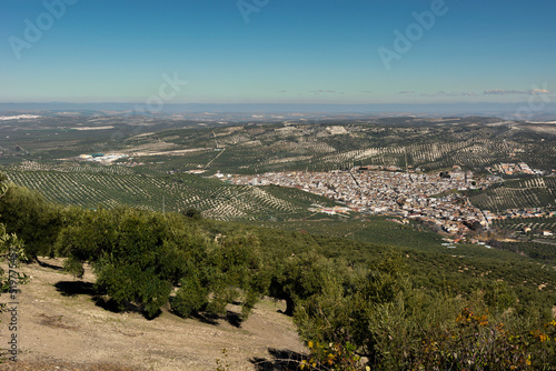 town in the countryside of andalucia  surrounded by olive trees  extra virgin olive oil tree