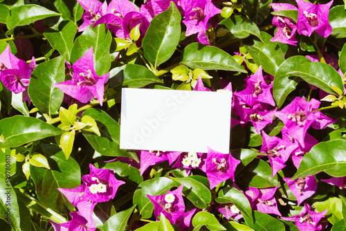 Flat card on tropical flowers outside for web background design. White isolated background. Abstract landscape background. Happy holiday. Web banner template. Natural beauty.