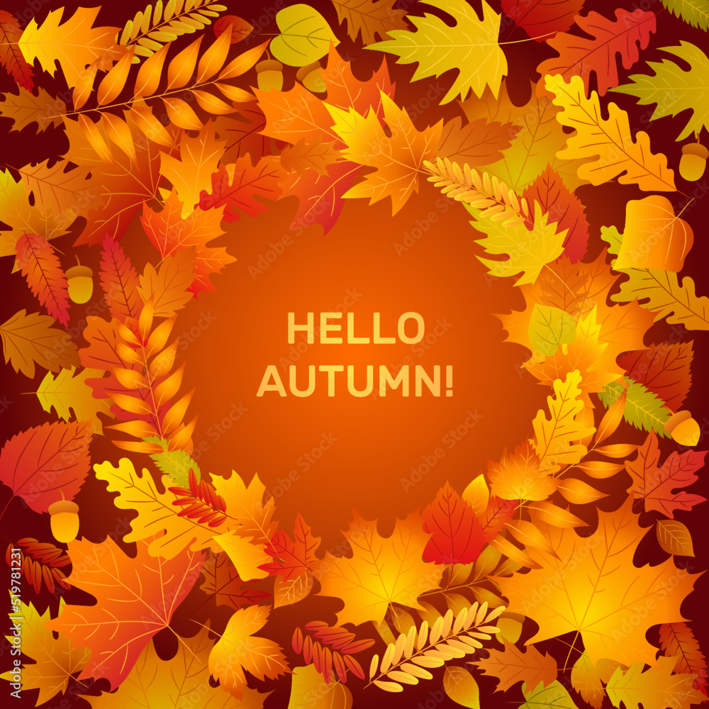 Hello autumn banner circle frame with fall leaves. Leaf from tree of maple, oak, birch. Yellow, orange, red foliage. Template for thanksgiving, 1 september sales design.  - obrazy, fototapety, plakaty 