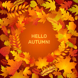 Hello autumn banner circle frame with fall leaves. Leaf from tree of maple, oak, birch. Yellow, orange, red foliage. Template for thanksgiving, 1 september sales design. 