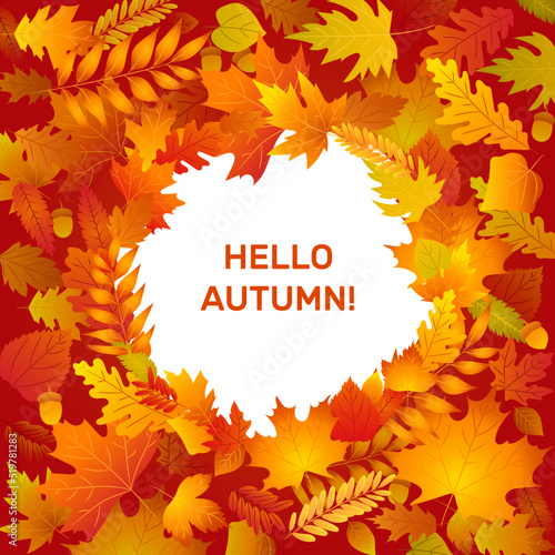 Hello autumn banner circle frame with fall leaves. Leaf from tree of maple, oak, birch. Yellow, orange, red foliage. Template for thanksgiving, 1 september sales design. 