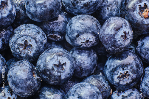 Borówka amerykańska/blueberry photo