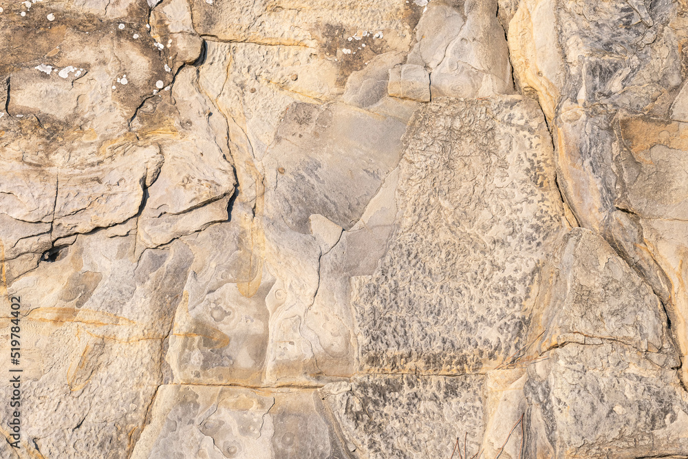 the texture of the stone wall the texture of the stone wall