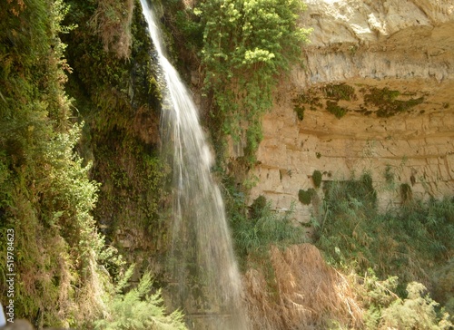 beautiful waterfall in the forest, Ein Gedi national park, Israel
