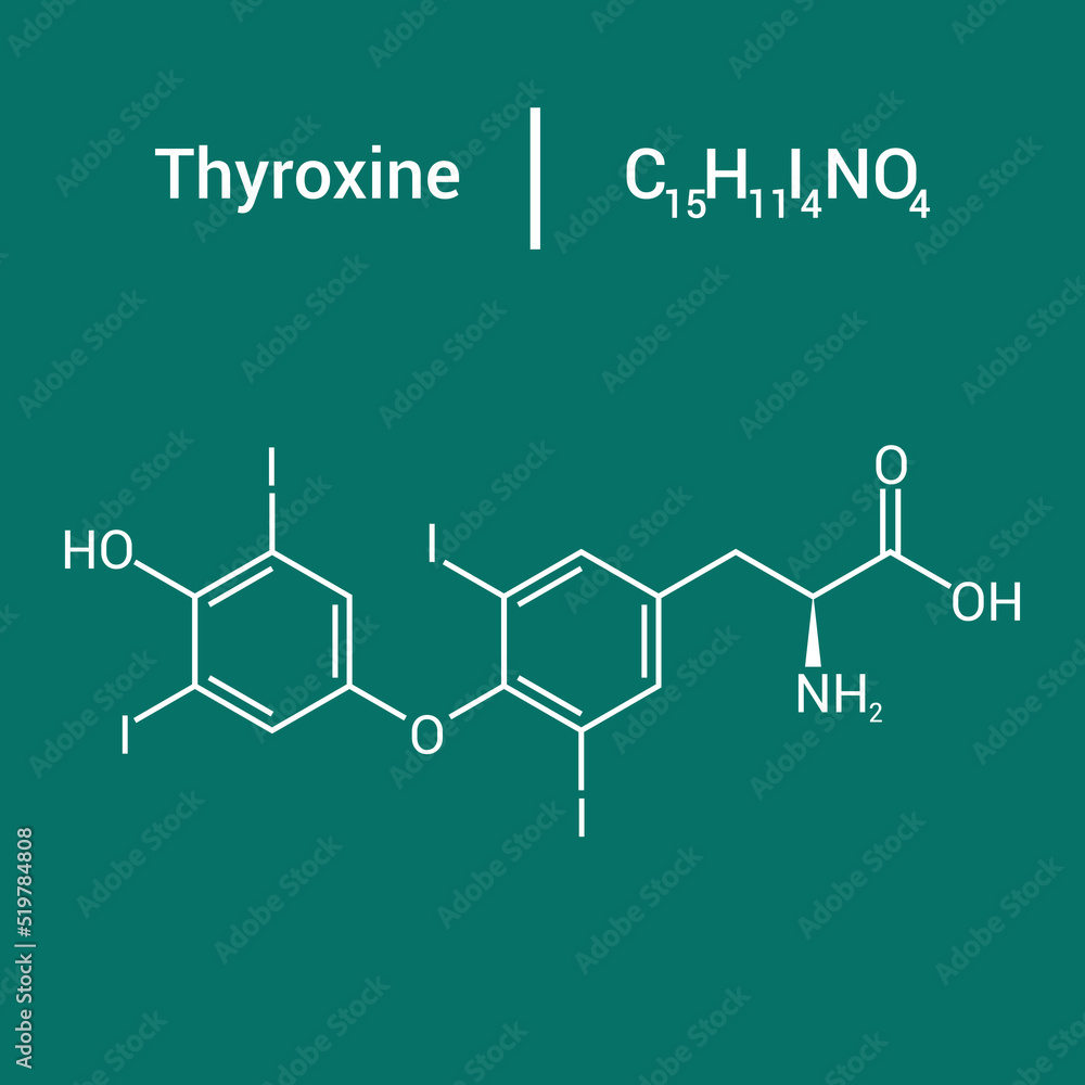 chemical structure of thyroxine (C15H11I4NO4) chemical structure of thyroxine (C15H11I4NO4)